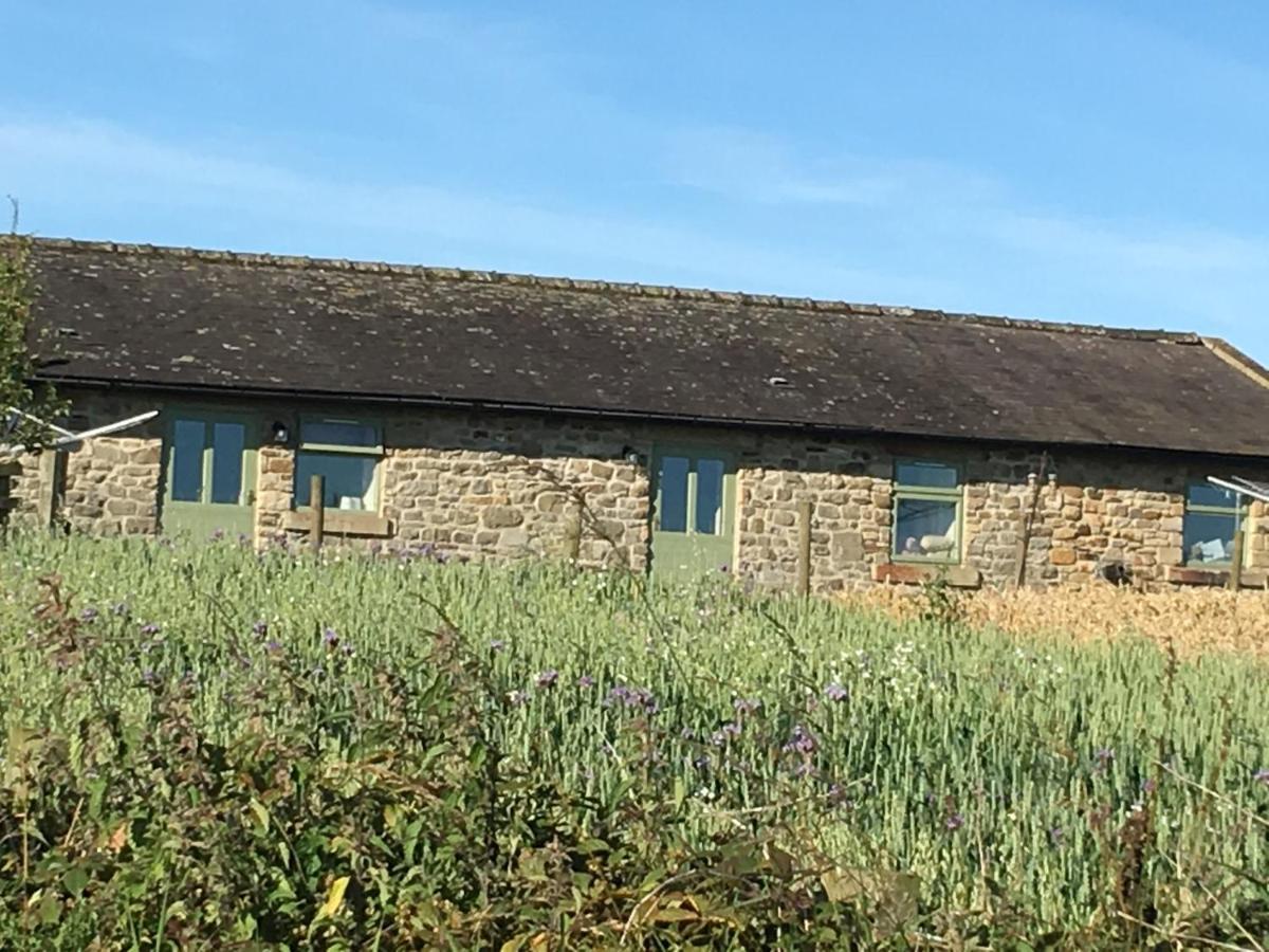 Riding Farm Cottages Gateshead Ngoại thất bức ảnh